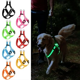 Glow in the dark dog leash walmart 2025