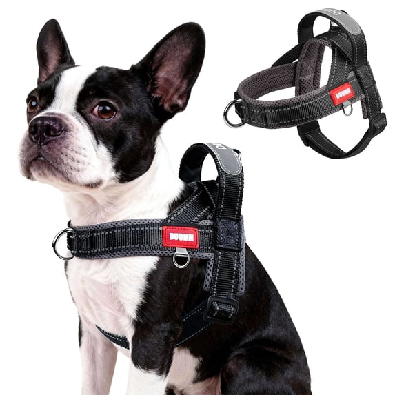 BadPiggies No Pull Dog Harness Reflective Adjustable Soft Padded Pet Vest with Handle Easy Control for Small Medium Large Dogs (S, Black)