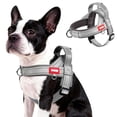 thumbnail image 1 of BadPiggies No Pull Dog Harness Reflective Adjustable Soft Padded Pet Vest with Handle Easy Control for Small Medium Large Dogs (S, Gray), 1 of 10