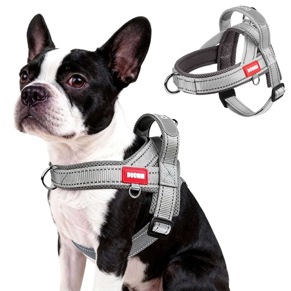 BadPiggies No Pull Dog Harness Reflective Adjustable Soft Padded Pet Vest with Handle Easy Control for Small Medium Large Dogs (S, Gray)