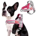 thumbnail image 1 of BadPiggies No Pull Dog Harness Reflective Adjustable Soft Padded Pet Vest with Handle Easy Control for Small Medium Large Dogs (XL, Pink), 1 of 10