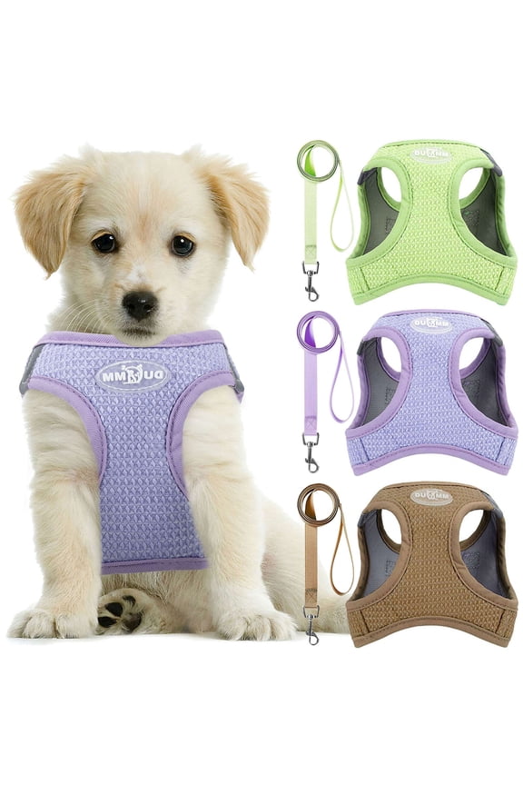 BadPiggies No Pull Dog Harness with Leash Set, No Choke Reflective Dog Vest Adjustable Soft Padded Pet Vest for Small Dogs