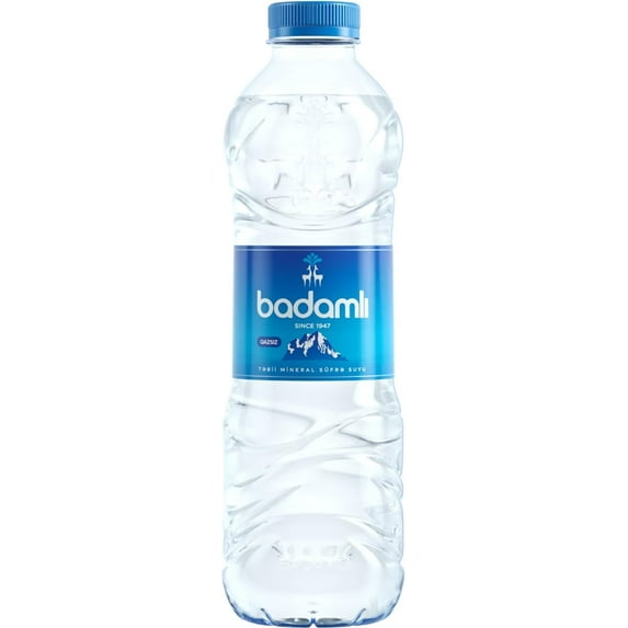 Badamlı Natural Spring Water pH 7.5, 16.9 fl oz (500ml), Daily Hydration, Natural Still Spring Water, Pack of 20