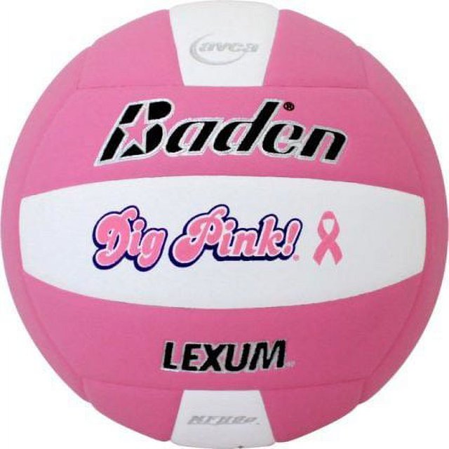 Baden Lexum VX450 Microfiber Volleyball Dig Pink