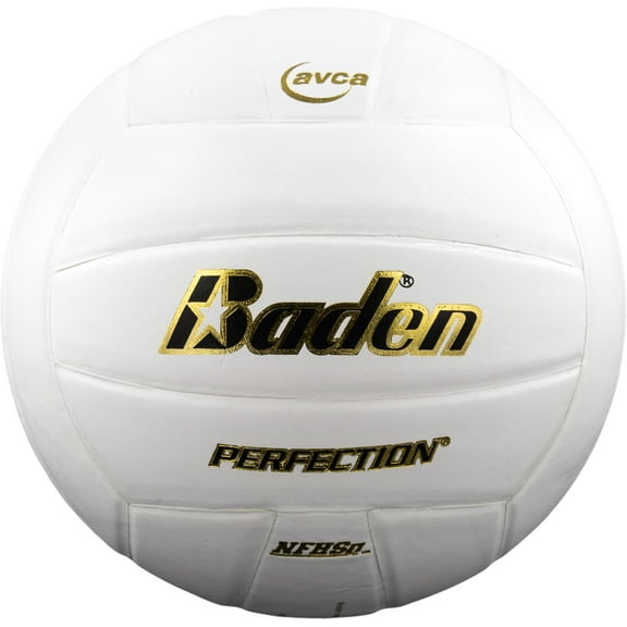 Perfection Leather Volleyball NFHS Stamped