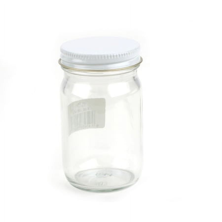 Badger Air-Brush Co. 3/4-Ounce Paint Jars With Covers - Box Of 12 Clear Glass Jars