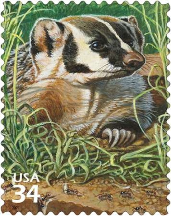Badger Canvas Art - US POSTAL SERVICE (24 x 30)