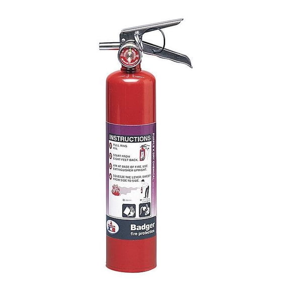 Badger Fire Extinguisher,Steel,Red,BC B250P