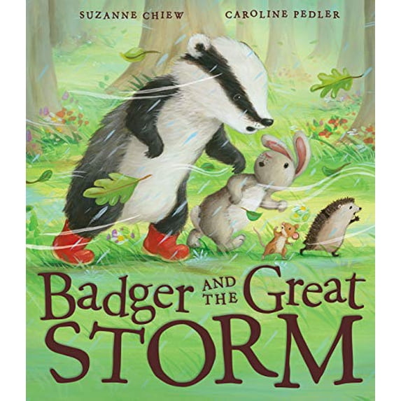 Pre-Owned Badger and the Great Storm Paperback