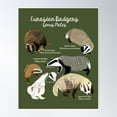 thumbnail image 1 of Badgers Meles Genus Poster Poster Wall Art, Modern Wall Decor For Living Room Bedroom, 12x18 UNFRAMED, 1 of 2