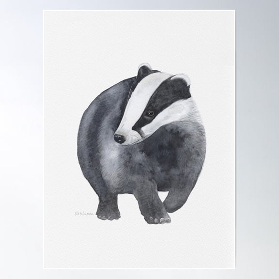 Badgers Poster Wall Art, Modern Wall Decor For Living Room Bedroom, 24x36 UNFRAMED
