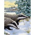 thumbnail image 1 of Badgers Two Of A Kind Flag Canvas House Size, 1 of 1