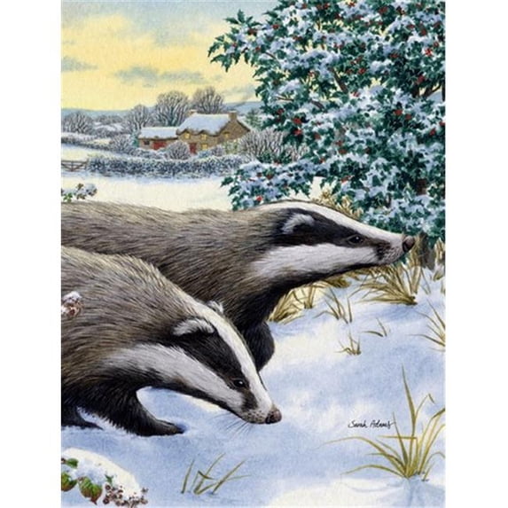Badgers Two Of A Kind Flag Canvas House Size