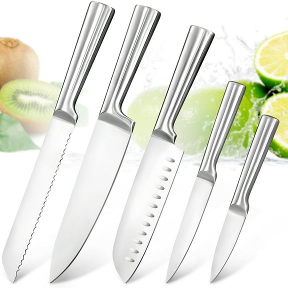 Badiano 5 Pcs Home Kitchen Sharp Knife Set,8" Chef,8" Bread,7" Santoku,5" Utility,3.5" Paring,Silver