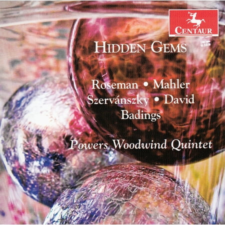 Badings / Powers Woodwind Quintet / David - Hidden Gems - Music & Performance - CD