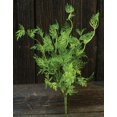 thumbnail image 1 of Badium Fern Bush Lt Green 15", 1 of 1
