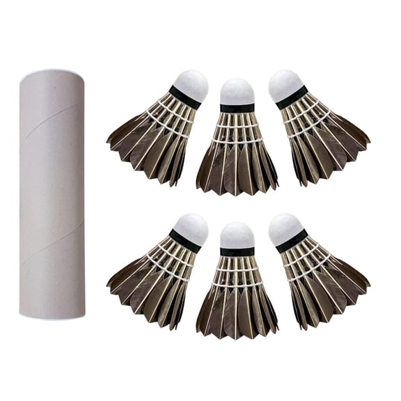 Badminton Set, Professional Badminton Shuttlecocks Badminton Set with Durability Stability and Balances