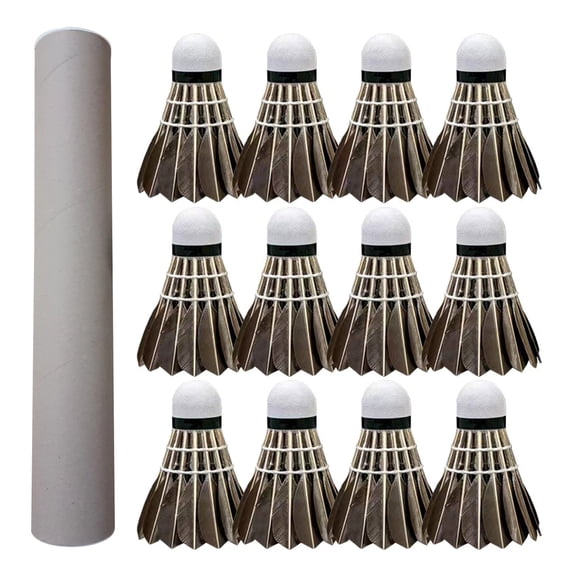 Badminton Set, Professional Badminton Shuttlecocks Badminton Set with Durability Stability and Balances