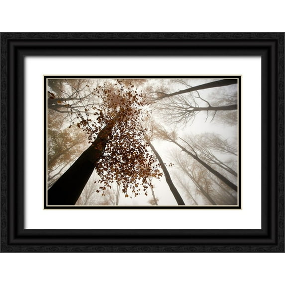 Baekelandt, Luc 14x11 Black Ornate Wood Framed with Double Matting Museum Art Print Titled - Fall