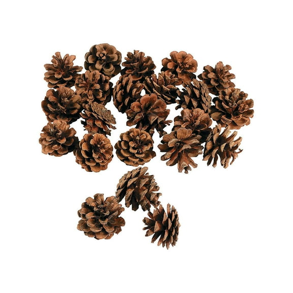 Bag Of Pinecones - Craft Supplies - 24 Pieces