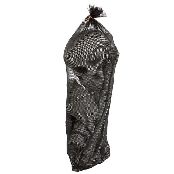 Bag of Bones Halloween Prop