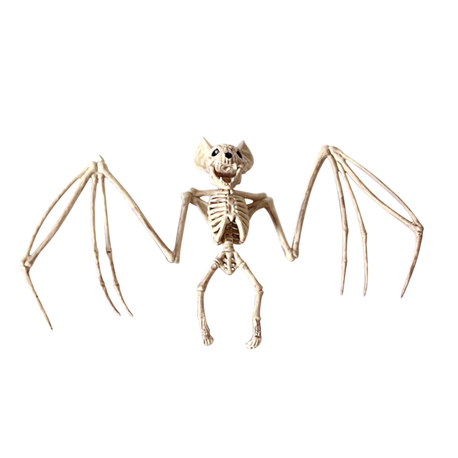 Bag of Bones Halloween Life Size Skeleton Skull,for Decoration and