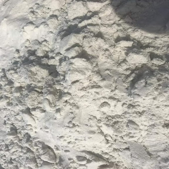 Bag of Ocean Natural Fine Florida Beach Sand, 3 LBS