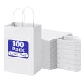 thumbnail image 1 of BagDream 100 Pack White Gift Bags with Handle, 5.25x3.75x8" Small Kraft Paper Bags for Mother's Day, Birthday Wedding Party Favors Grocery Retail Business, 1 of 9