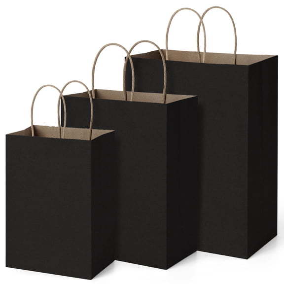 BagDream 75 Pack Black Kraft Paper Bags with Handles 5x3x8, 8x4.25x10, 10x5x13 Assorted Sizes Paper Gift Bags for Shopping, Weeding, Birthday, Party Favor, Retail Merchandise Bags