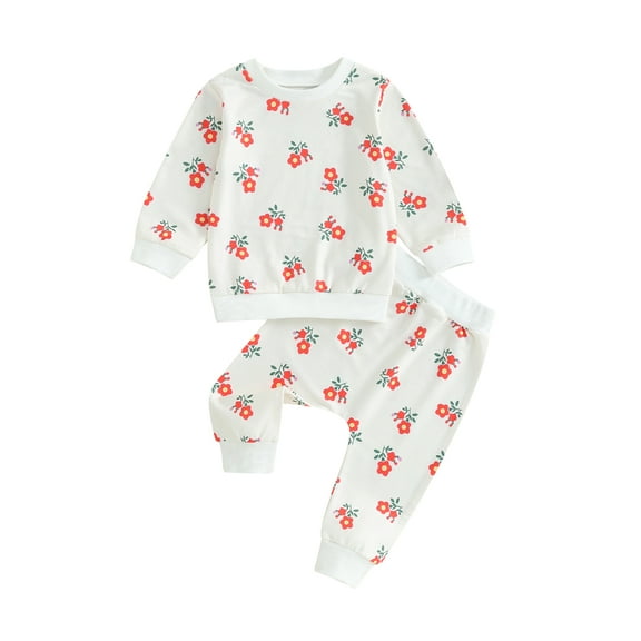 Bagilaanoe 2PCS Toddler Baby Girl Pants Set Flower Print Long Sleeve Sweatshirt Tops + Sweatpants 9M 12M 18M 24M 3T 4T Kids Casual Sweatsuits