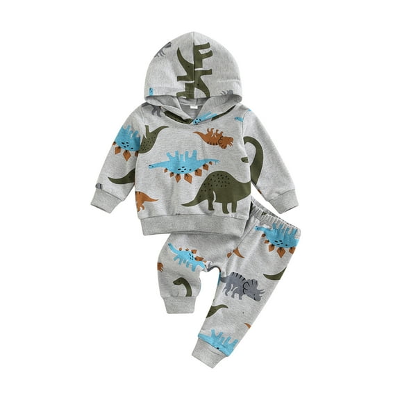 Bagilaanoe 2Pcs Newborn Baby Girl Boy Long Pants Set Dinosaur Print Long Sleeve Hooded Pullover Tops  Trousers Infant Fall Casual Sweatsuit