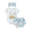 thumbnail image 1 of Bagilaanoe 2pcs Newborn Easter Outfits Baby Girl Shorts Set Short Sleeve Print Romper Tops + Ruffle Shorts + Headband 3M 6M 12M 18M 24M Infant Casual Summer Clothes, 1 of 8