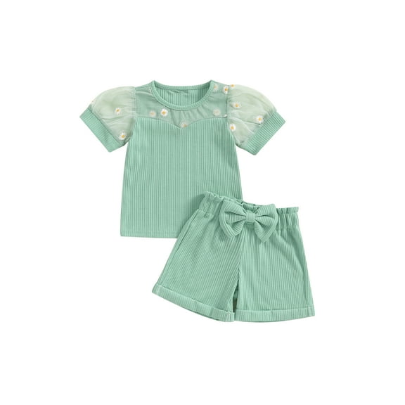 Bagilaanoe 2pcs Toddler Baby Girl Shorts Set Embroidery Short Sleeve T Shirt Tops   Shorts 6M 12M 18M 24M 3T 4T Kids Casual Summer Clothes
