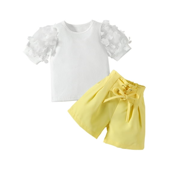 Bagilaanoe 2pcs Toddler Baby Girl Shorts Set Little Girls Short Sleeve T Shirt Tops + Shorts 1T 2T 3T 4T 5T 6T Kids Casual Summer Clothes