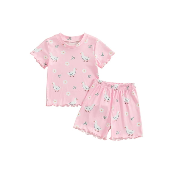 Bagilaanoe 2pcs Toddler Baby Girl Shorts Set Short Sleeve Floral Print T Shirt Tops + Shorts 6M 12M 18M 24M 3T 4T Kids Casual Summer Clothes