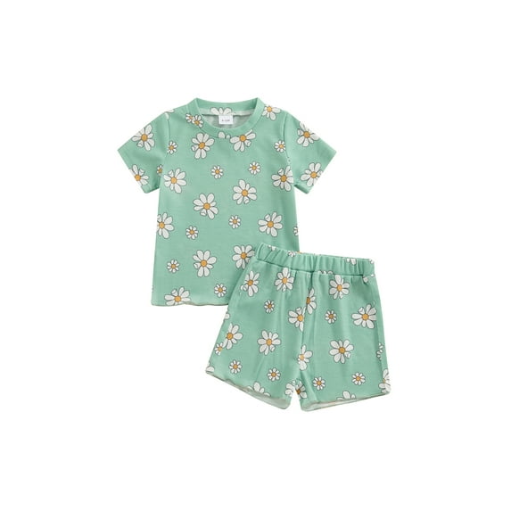 Bagilaanoe 2pcs Toddler Baby Girl Shorts Set Short Sleeve Floral Print T Shirt Tops + Shorts 6M 12M 18M 24M 3T 4T Kids Casual Summer Clothes