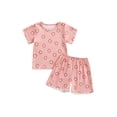 thumbnail image 1 of Bagilaanoe 2pcs Toddler Baby Girl Shorts Set Short Sleeve Flower Print T Shirt Tops + Shorts 6M 12M 18M 24M 3T 4T Kids Casual Summer Clothes, 1 of 7