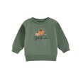 thumbnail image 1 of Bagilaanoe Baby Girl Boy Halloween Sweatshirt for Infant Long Sleeve Pumpkin Embroidery Pullover 6M 12M 18M 24M 3T Toddler Fall Loose Tee Tops, 1 of 7