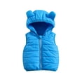 thumbnail image 1 of Bagilaanoe Little Girl Boy Quilted Puffer Vest Coat Winter Lightweight Sleeveless Warm Outerwear 6M 12M 2T 3T 4T 5T 6T 7T Kids Hooded Zipper Padded Jacket, 1 of 9