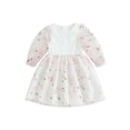 thumbnail image 1 of Bagilaanoe Little Girl Fall Dress Flower Embroidery Long Puff Sleeve A-line Princess Dresses 3T 4T 5T 6T 7T Toddler Kid Patchwork Tulle Skirt, 1 of 8