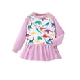 thumbnail image 1 of Bagilaanoe Little Girl Sweatshirt Dress Toddler Long Sleeve Print Pullover 3T 4T 5T 6T 7T Kids Fall Loose Tee Tops, 1 of 8