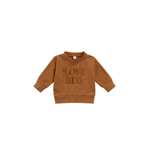 Bagilaanoe Newborn Baby Girl Boy Casual Sweatshirt Long Sleeve Letter Embroidery Pullover 3M 6M 12M 18M 24M Infant Loose Tee Tops