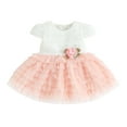 thumbnail image 1 of Bagilaanoe Newborn Baby Girl Party Dress Short Sleeve A-line Princess Dresses 6M 12M 18M 24M Infant Patchwork Tulle Skirt, 1 of 8