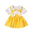 thumbnail image 1 of Bagilaanoe Newborn Baby Girl Summer Dress Short Sleeve A-line Dresses 6M 12M 18M 24M Infant Floral Print Casual Swing Sundress, 1 of 9