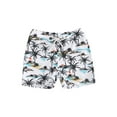 thumbnail image 1 of Bagilaanoe Toddler Baby Boys Swim Trunks Print Elastic Waist Swimming Shorts 6M 12M 18M 24M 3T 4T Kids Swimwear Beach Board Shorts, 1 of 7