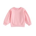thumbnail image 1 of Bagilaanoe Toddler Baby Girl Boy Casual Sweatshirt Long Sleeve Pullover 6M 9M 12M 18M 24M 3T Kids Loose Tee Tops, 1 of 8