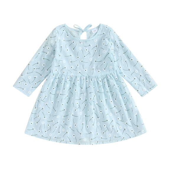 Bagilaanoe Toddler Baby Girl Casual Dress Floral Print Long Puff Sleeve A-line Princess Dresses 3T 4T 5T 6T Kids Casual Swing Sundress
