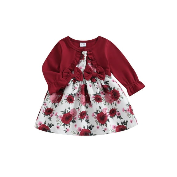 Bagilaanoe Toddler Baby Girl Fall Dress Floral Print Long Sleeve A-line Dresses 6M 9M 12M 18M 24M 3T Kid Fall Patchwork Skirt