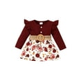 thumbnail image 1 of Bagilaanoe Toddler Baby Girl Fall Dress Flower Print Long Sleeve A-line Dresses 3M 6M 12M 18M 24M 3T Kid Patchwork Dress with Belt, 1 of 9