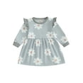 thumbnail image 1 of Bagilaanoe Toddler Baby Girl Fall Dress Flower Print Long Sleeve A-line Dresses 6M 12M 18M 24M 3T 4T Kids Casual Swing Sundress, 1 of 7